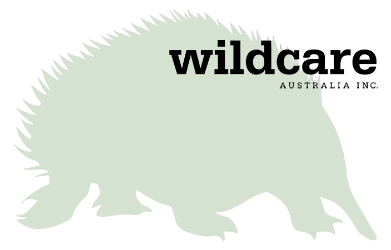 Wildcare Footer Logo