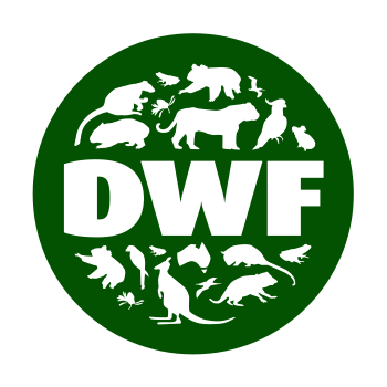 01 DWF Logo