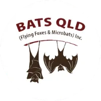 Bats QLD