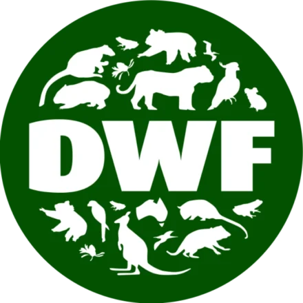 DWF Logo White BG large