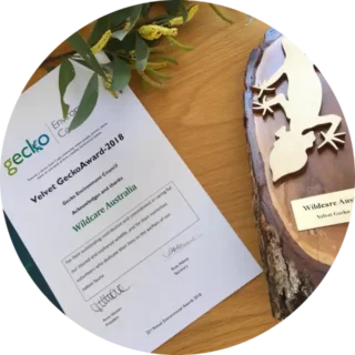 Objectives Gecko Award