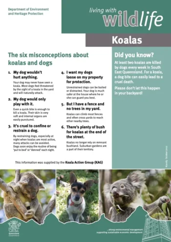Koalas and Dogs