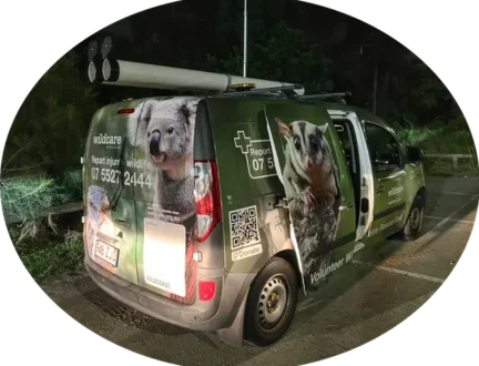 Wildcare Rescue Vehicle 2